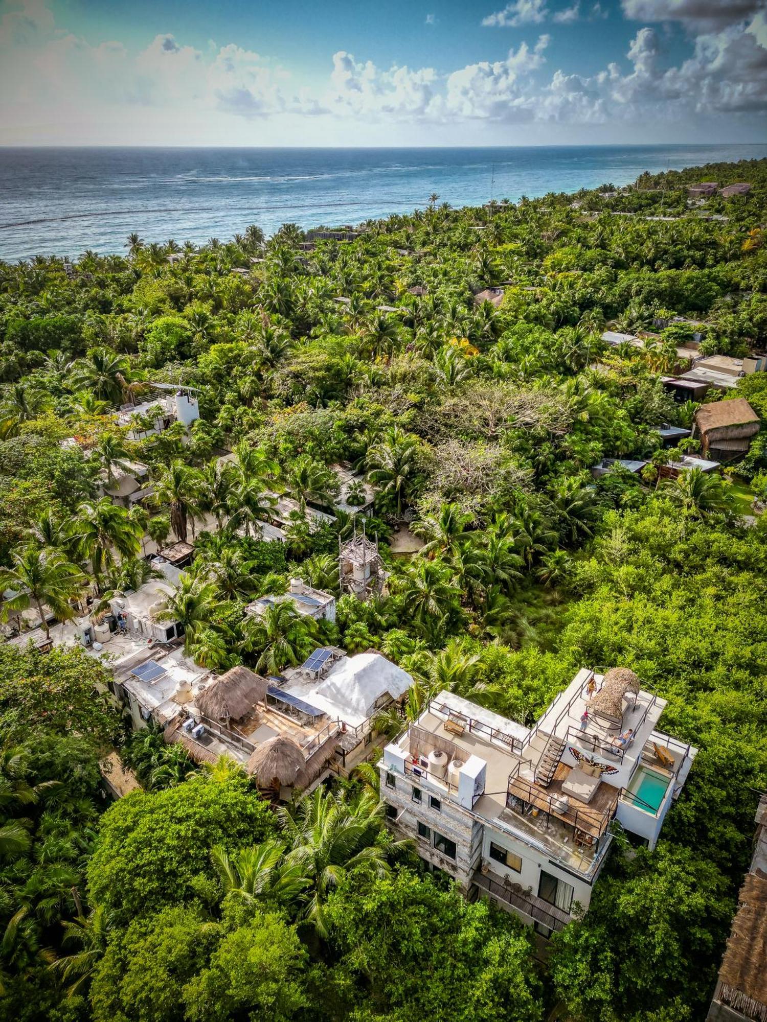 Suites Tulum (Adults Only) מראה חיצוני תמונה